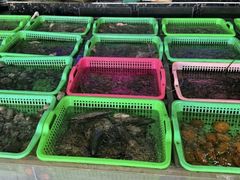 -众味海鲜大排档·活海鲜·潮汕味(南澳店)