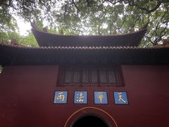 -普陀山风景名胜区-法雨禅寺