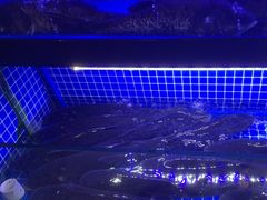 -唐伯虎新派湘菜馆(石夏时代广场店)