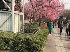 -大雁塔北广场音乐喷泉