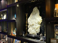-雪灵魔法世界SHELLY’S TAROT(大良桂畔里店)