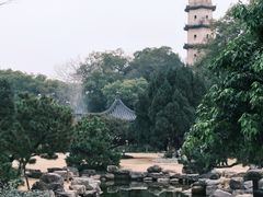 -江心屿景区