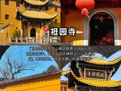 -枣子树·素食餐厅(普陀山店)
