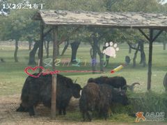 -西安秦岭野生动物园