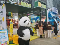 -合景·悠方(成都店)