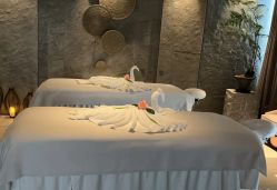 -VELEE·SPA高定疗愈会所