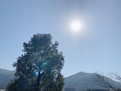 -东钱湖旅游度假区