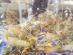 -蚝得喜海鲜(东城店)