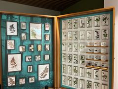 -中国湿地博物馆