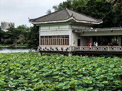 -荔湾湖公园