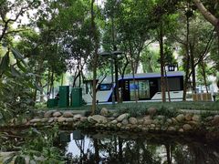 -成都市活水公园