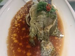 -巴音浩日娲·蒙餐(双林东路店)