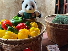 -春满园生态餐厅(南宫路店)