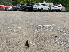 -白水冲瀑布