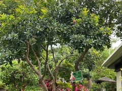 -天悦阁海景酒廊