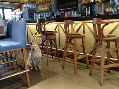 大堂-Cactus墨西哥仙人掌餐厅