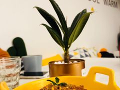 -五进制 Coffee Shop