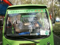 -合肥滨湖国家森林公园