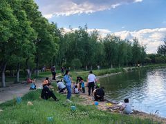 -大兴滨河森林公园