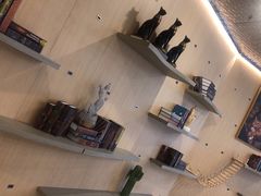 -飞行喵MR PILOT|猫舍·猫咖(静安大融城店)