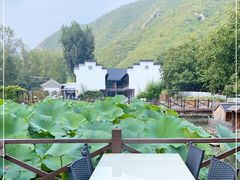-荷塘味道(水长城店)