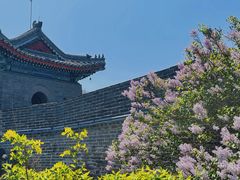 -老龙头景区