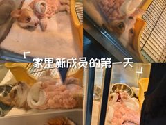 -仲盛世界商城