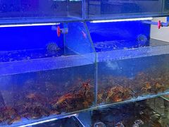 -虾铺子龙虾·私房菜(金源花苑店)