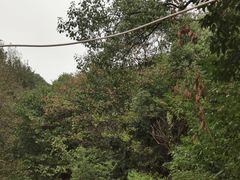 -昭山风景名胜区