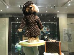 -济州岛泰迪熊博物馆