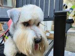 -FAELING PETS美天灵宠物(富力广场店)