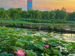 -济南大明湖景区