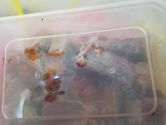 -陈光记烧腊(长寿路店)