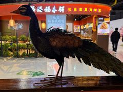 -云荷里·蒸汽石锅鱼·云南菜(中发百旺店)