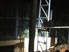 -清迈夜间动物园