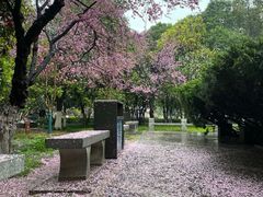 -莲湖公园