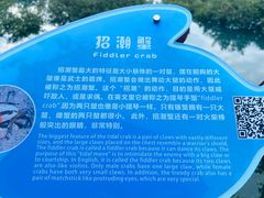 -北海金海湾红树林生态旅游区