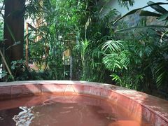 -南宫温泉水世界