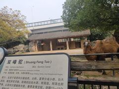 -南昌动物园