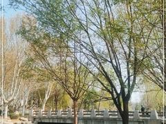 -郑州植物园
