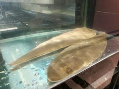 -斯通泰伯酒店-餐厅