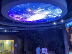 -东莞市科学技术博物馆