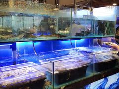 水产区-喜庭海鲜自助(来福士店)