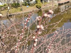 -太子山公园(园东路)