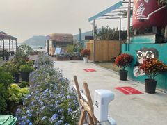 小车车咖啡-望湖烤鱼