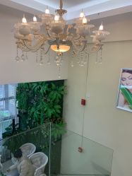 -苗医生草本科技祛痘