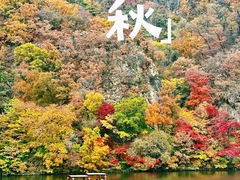 -关门山森林公园