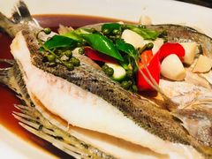 葱椒鲈鱼-绿茶餐厅(广州天河城店)