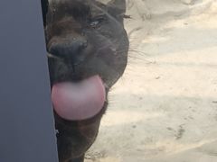 -济南野生动物世界