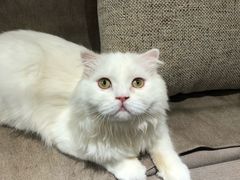 -猫和宫(六道口店)